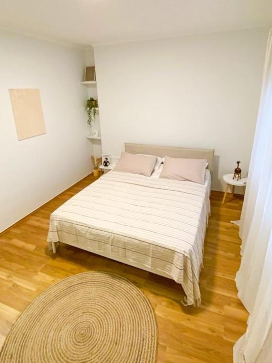 Appartement Boho Style In Center Of Tirana Extérieur photo